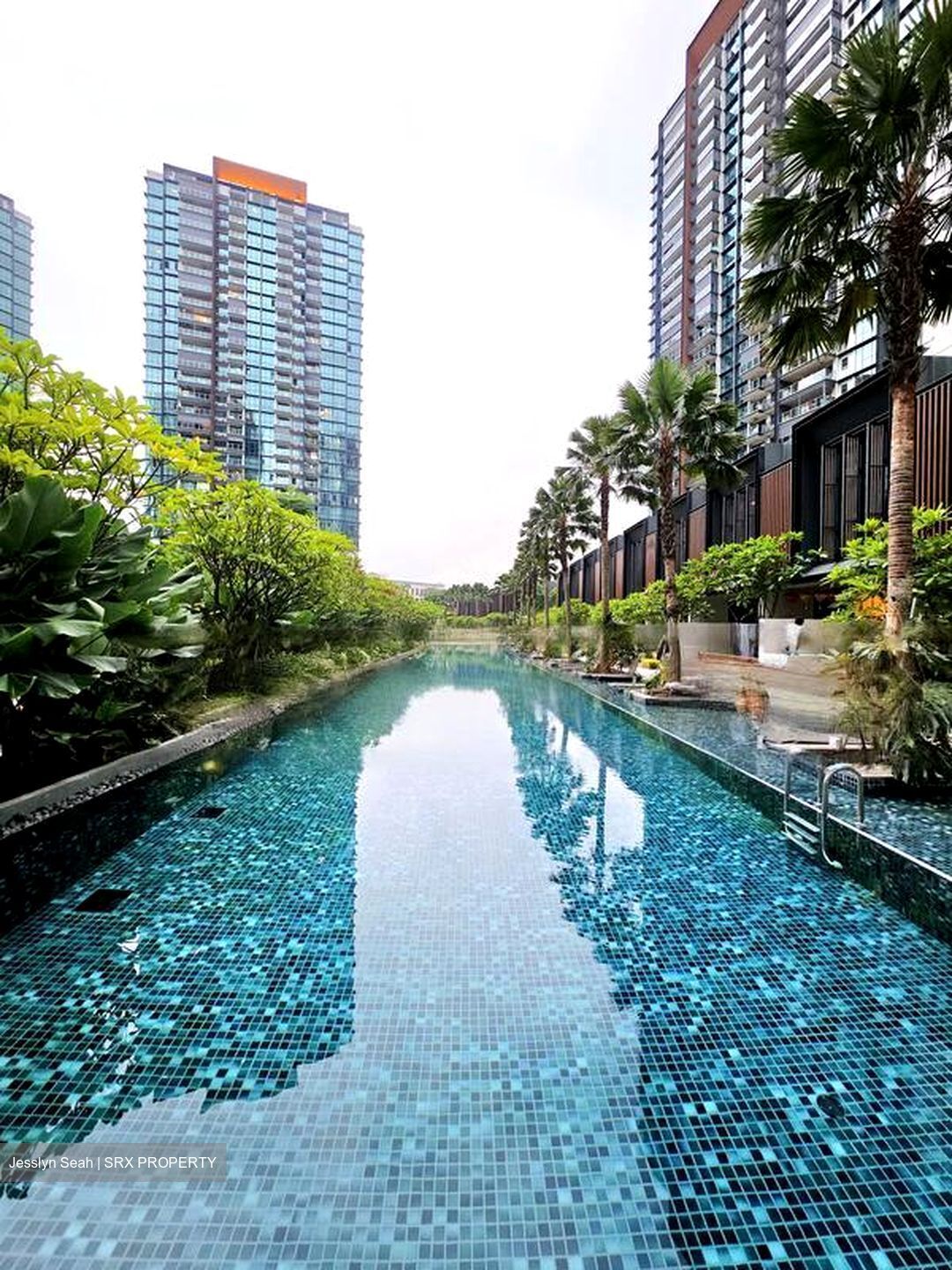 Normanton Park (D5), Apartment #454498661